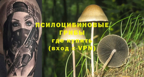 первитин Алексеевка