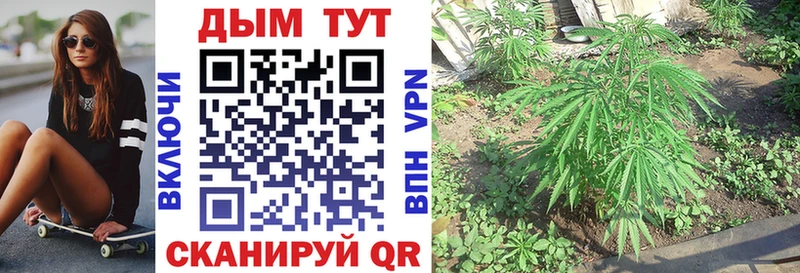 Каннабис Ganja  наркотики  Спасск-Рязанский 